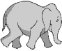 slon-leva.gif