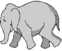 slon-prava.gif